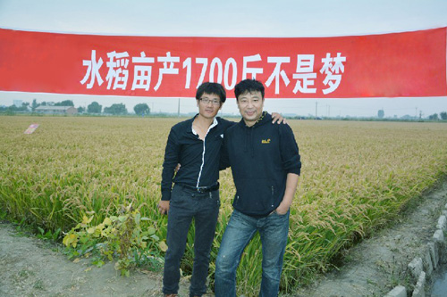 裴总与辽视《黑土地》著名主持人郭浩（大明白）宣传高产水稻田