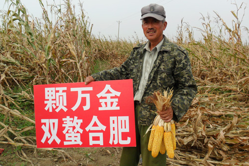 田间效果